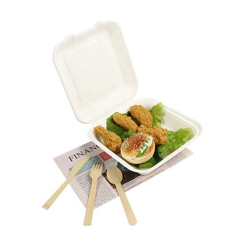disposable biodegradable sugarcane bagasse food container for