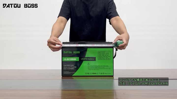 DATOU BOSS 12V 100Ah Rechargeable LiFePO4 Battery Pack Maintenance Free ...