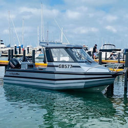 Cina SeaKing Easycraft 6M 20 Kaki Kabin Memancing Cueddy Kapal Aluminium