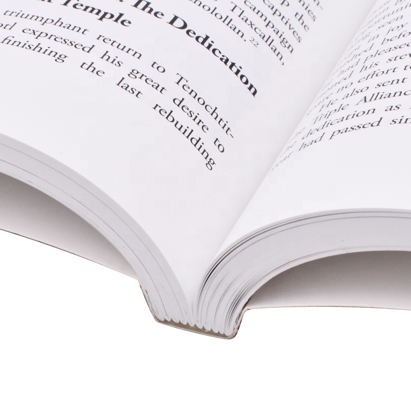 GIGO Low Price Hot Sale Magazine Brochure Design Printing Softcover Book Service Print