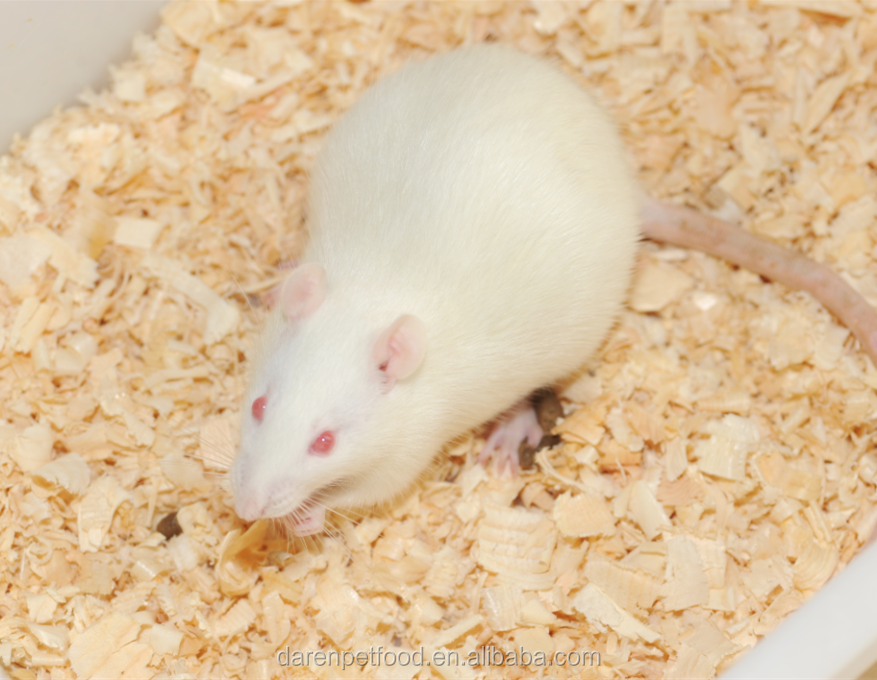 pet stores that sell frozen mice near me