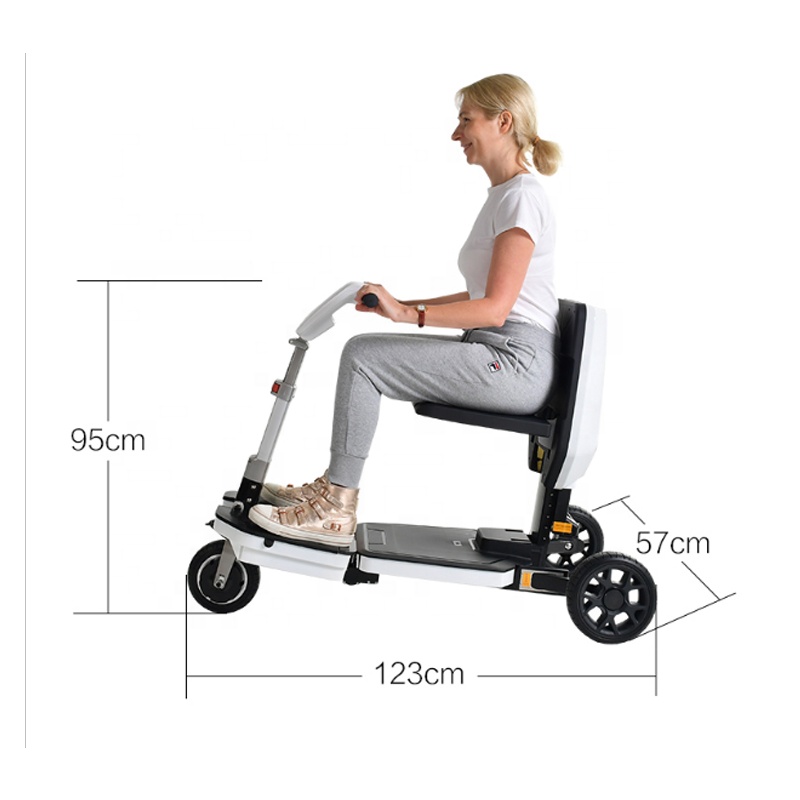 2019 новый стиль 800 Вт 36 В инвалидный трехколесный скутер для путешествий