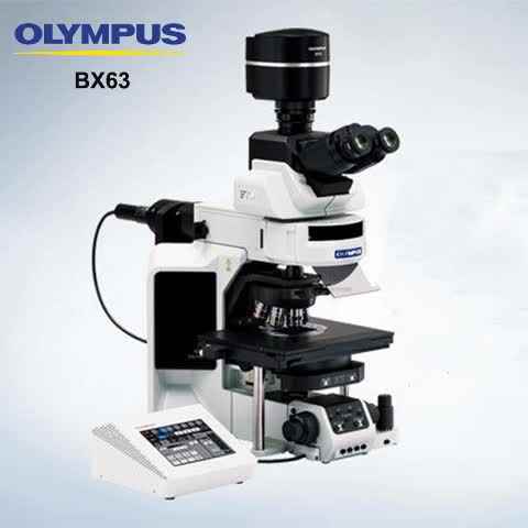 Olympus BX63 Fluorescence Microscope for Cell Culture & Research
