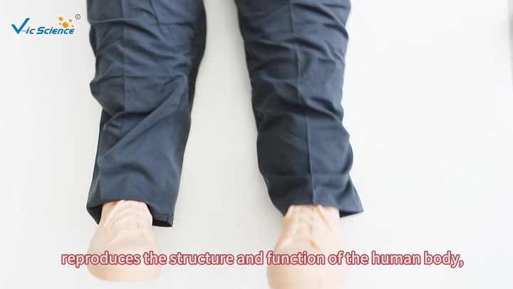 Computer Advanced Cardiopulmonary Resuscitation (CPR) Simulator