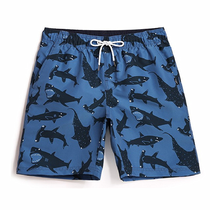 新的高品质的鲨鱼打印时装男士修身性感泳裤泳裤泳装