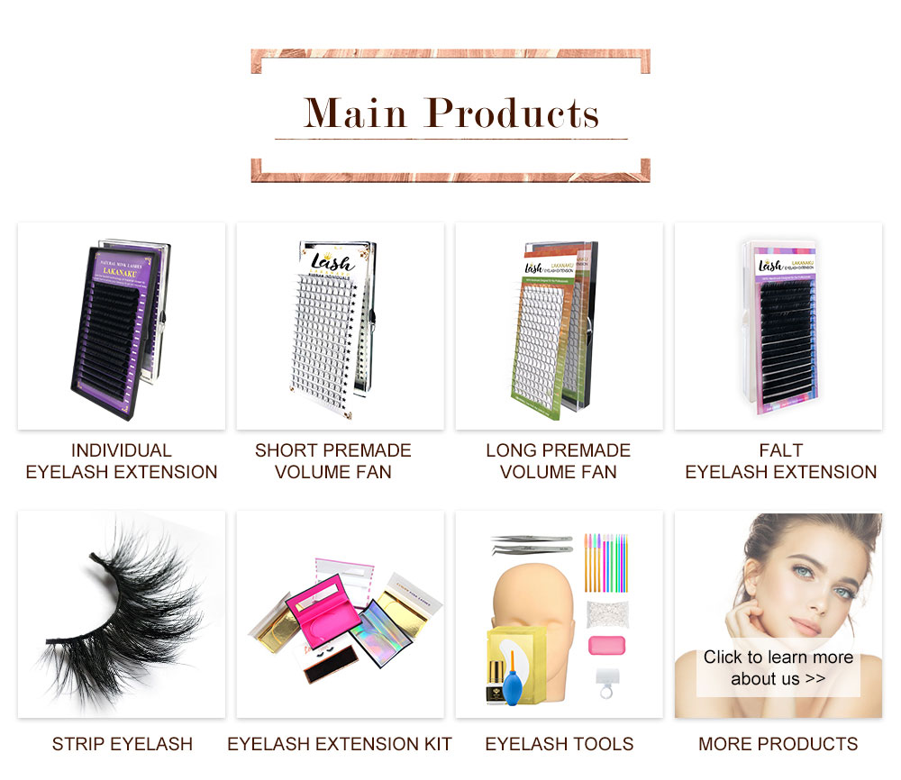 Eyelash Extension Loose Premade Fans Sharp Long Stem Promade Loose Volume 3D 5D 6D 10D 14D Loose Fans