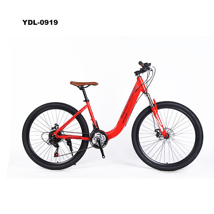 ladies cycle new
