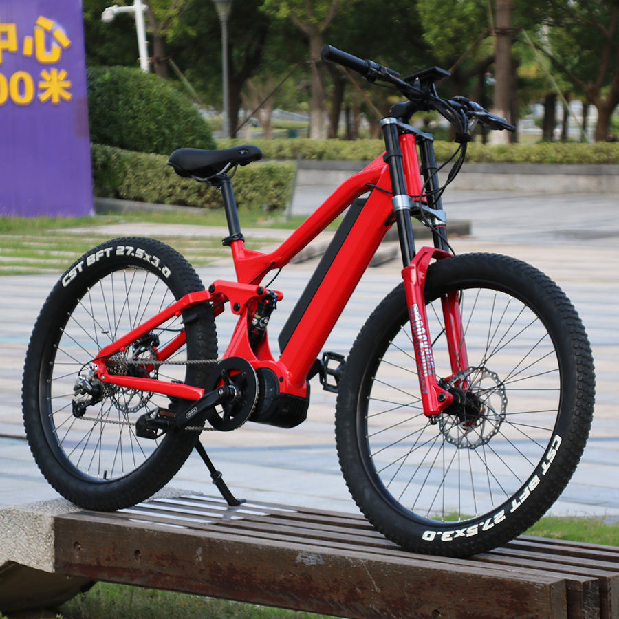 2 wheel drive bicycle for sale