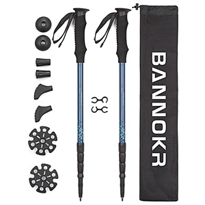 kabuda walking stick