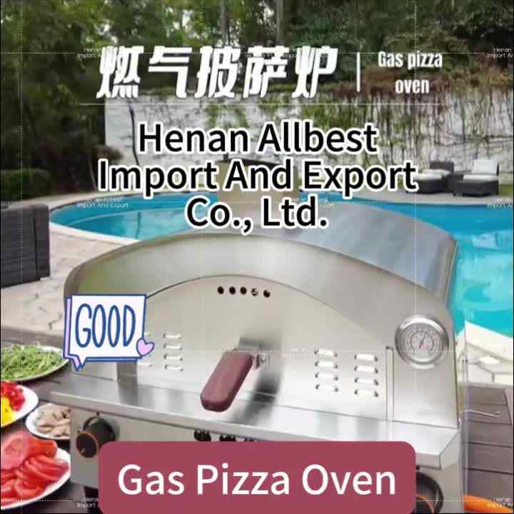 Outdoor Portable Mobile Stainless Steel Pizza Oven Indoor Propane