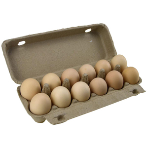 Download 6 Pack Egg Carton 6 Pack Egg Carton Suppliers And Manufacturers At Alibaba Com Yellowimages Mockups