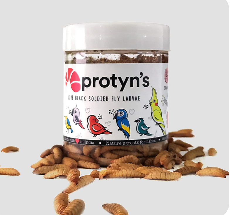 Новинка 2021 года, популярный товар, корм для домашних животных, черный солярий для летающих птиц и рыб, корм для араваны, Оскара, попугая и других хищных рыб