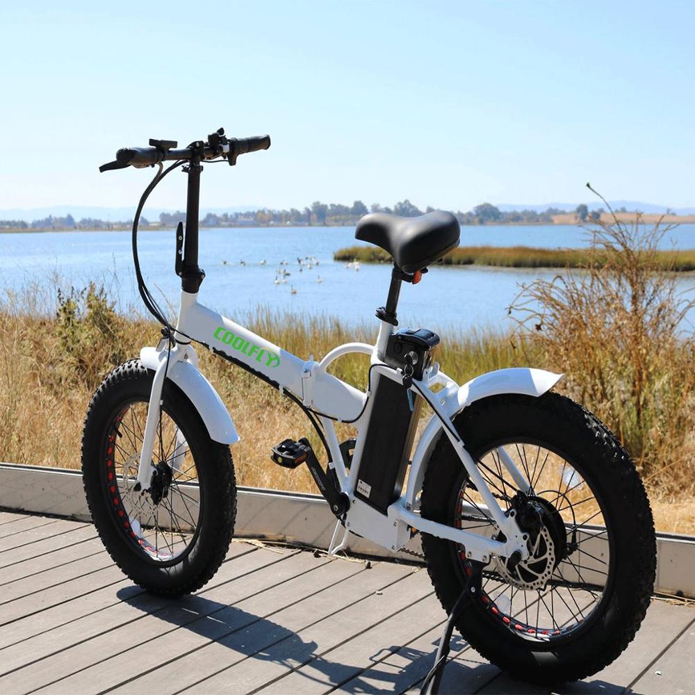 electric bike wholesale supplier
