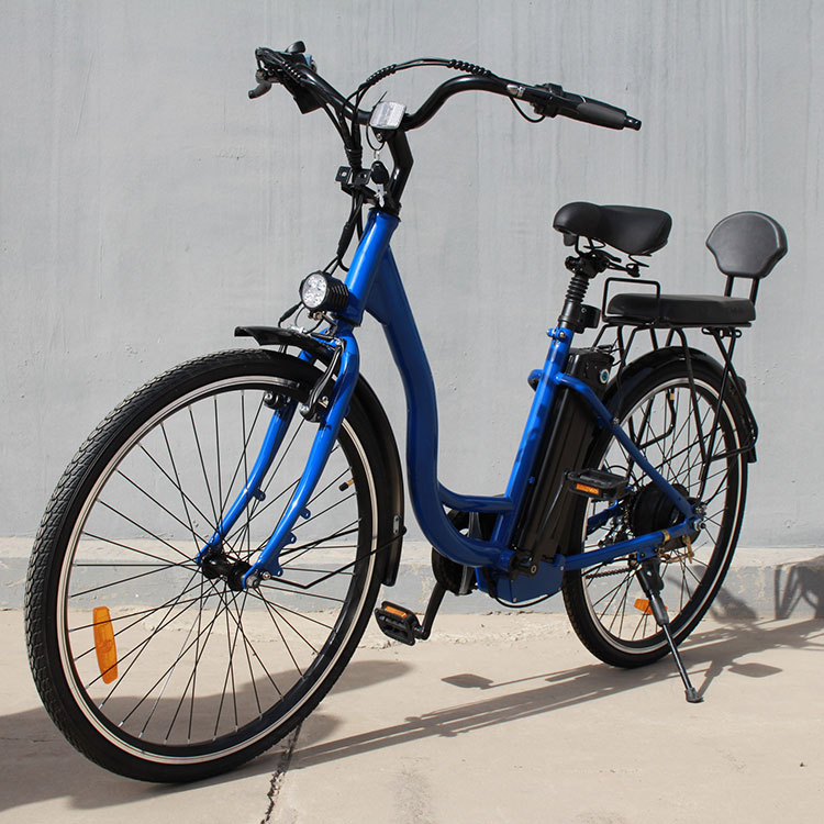 bird bike for sale