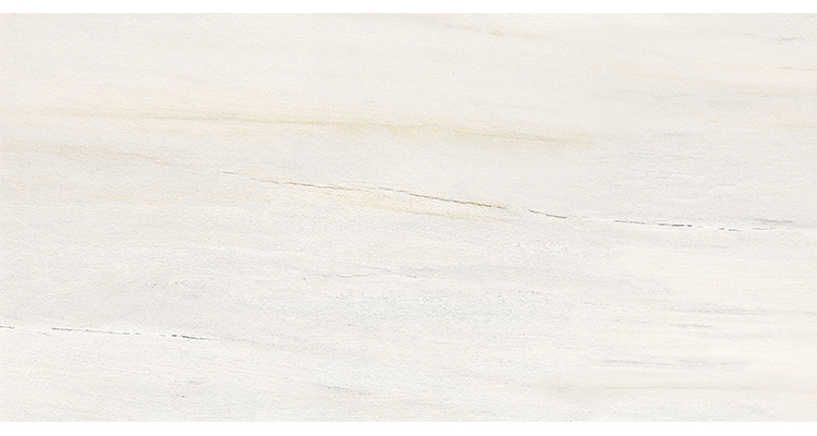 Hasin New Model 400*800mm Wall Tile Kitchen Bathroom Flower Decoration Ceramic Tiles