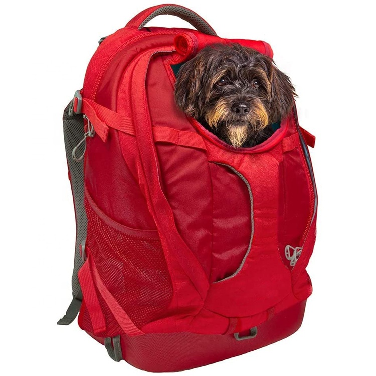 Portador De Perro Cachorro Peque/ño Mediano Portador De Mascotas para Viajes Senderismo Camping Grey Transparente Transpirable Resistente Al Calor Sipobuy Mochila C/ápsula Espacio para Mascotas