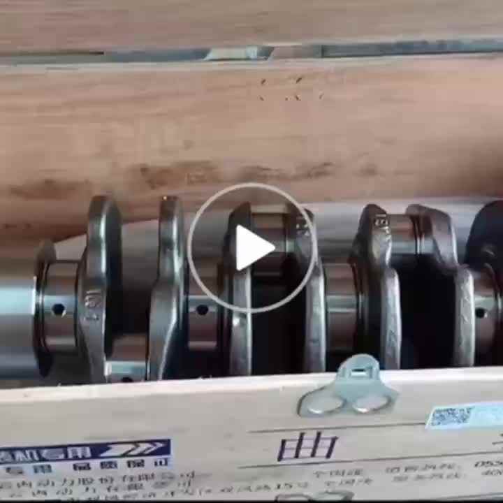 D20TCIE Crankshaft for Changan Hunter F70 Engine X10008939