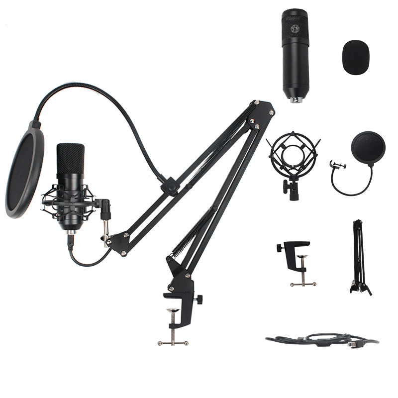 2020 алюминиевый BM 800 запись голоса Usb 192 кГц Подкаст игровой микрофон конденсаторный микрофон Студийный конденсаторный микрофон