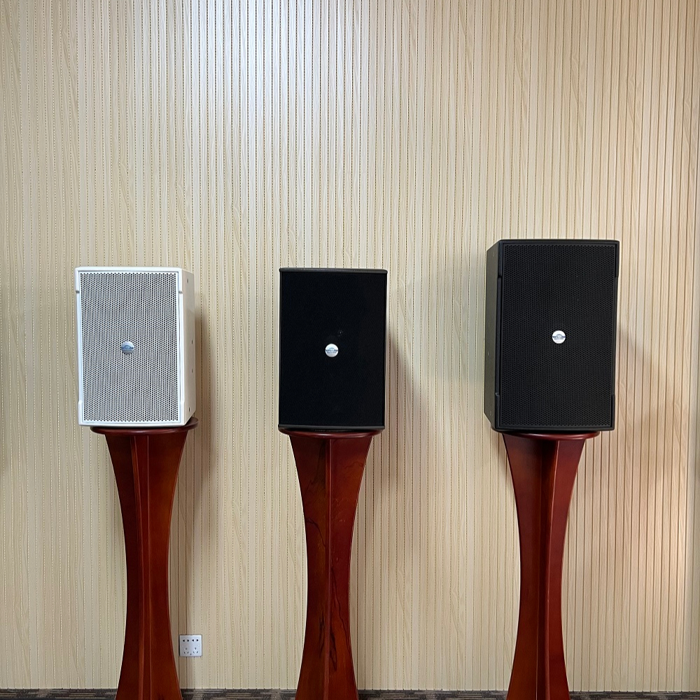 12 Inch Speaker Two Way 350W Sound 