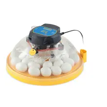 Highly Durable Chicken Setter at Reliable Price