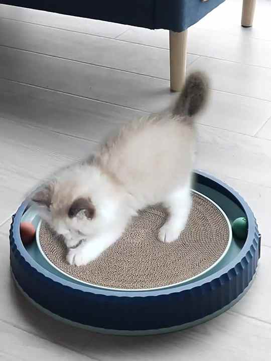 New Design High Quality Durability Wave Shape Cat Scratch