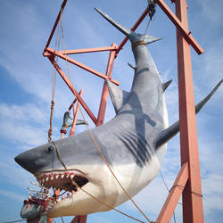 Top quality modern waterproof material outdoor display model life size resin shark