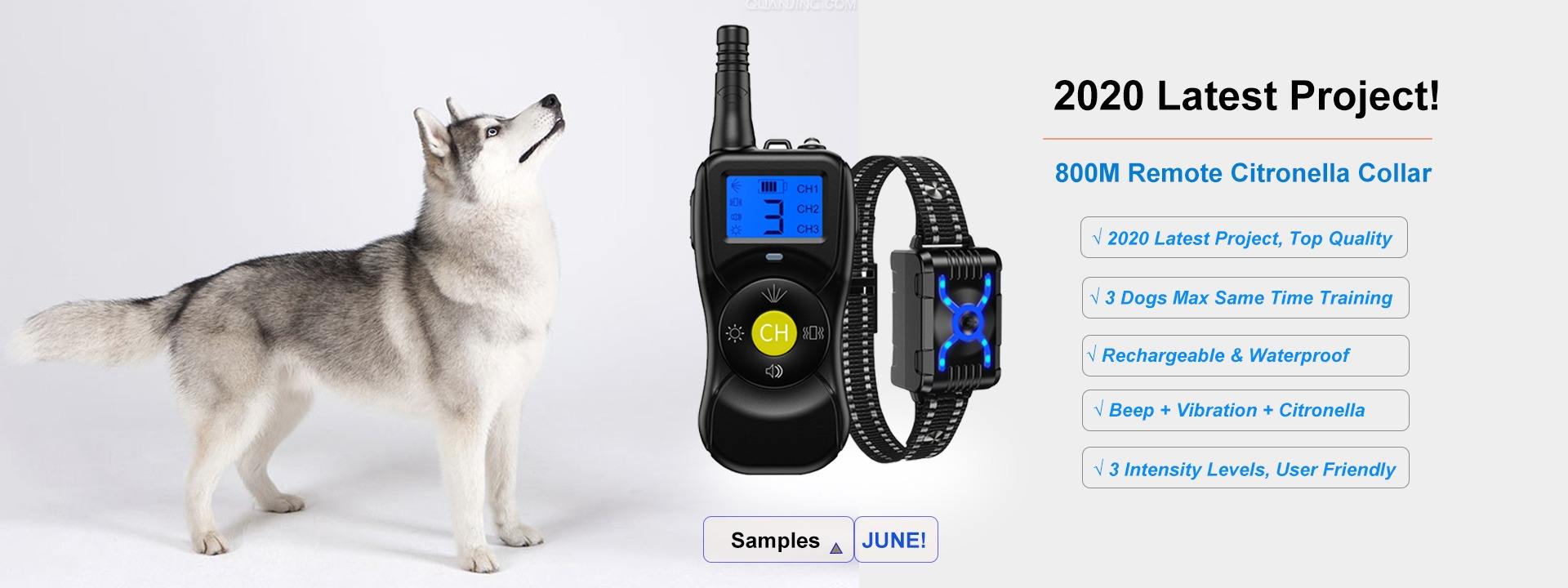 planetico dog collar