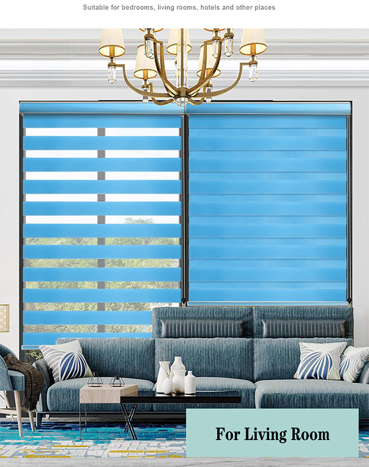 China window zebra blinds for home