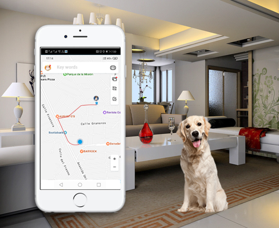 Hc56241518cc34adcbec39eb9492d54a8S - GPS Tracker til hund vandtæt