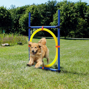 used agility equipment