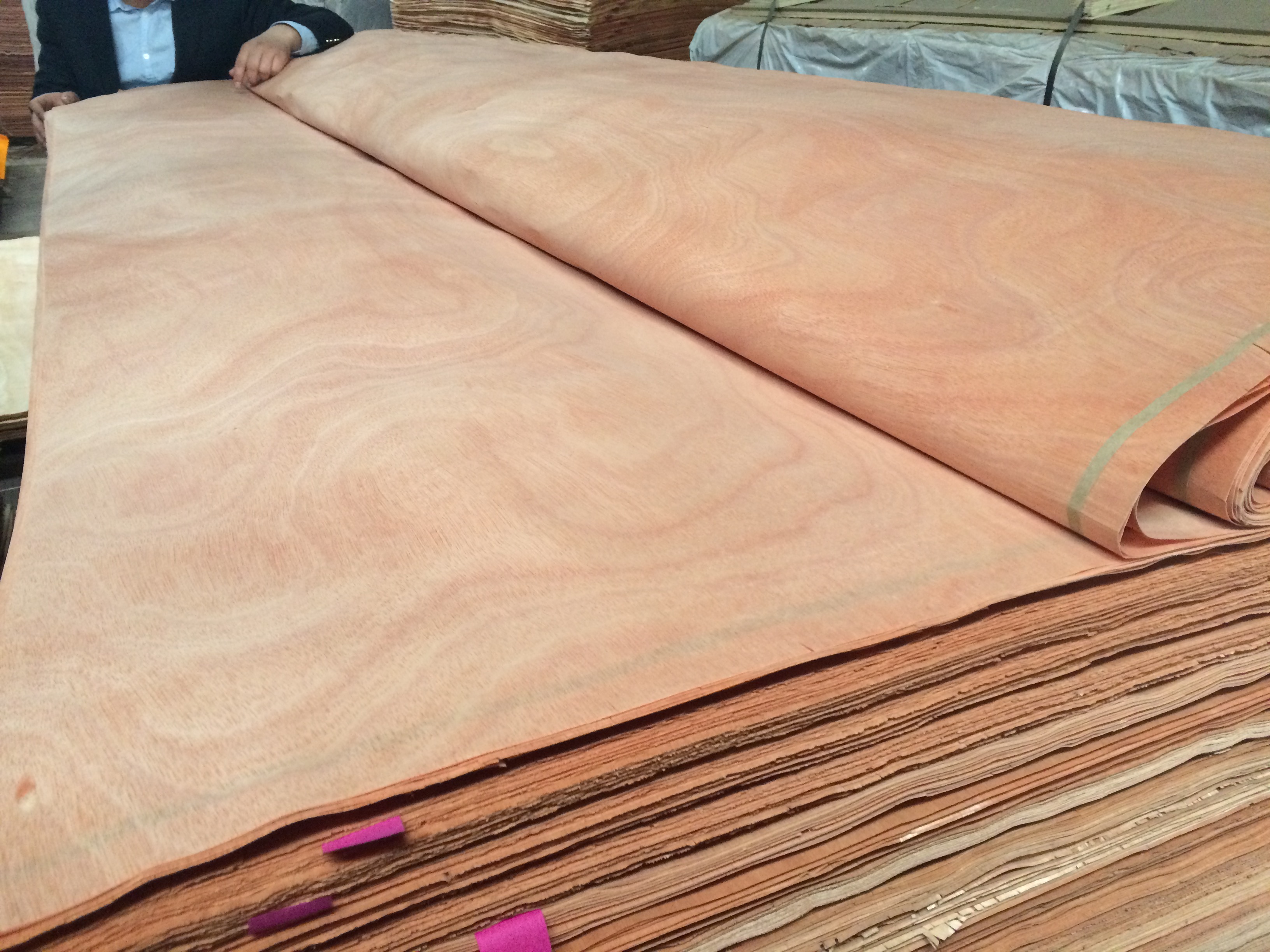 Fsc low price good quality 1mm american walnut beech wood veneer