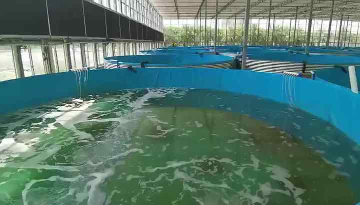 High Quality Fish Farming Pool Widely Used Tilapia Fish Tank Outdoor Fish  Farming Ponds