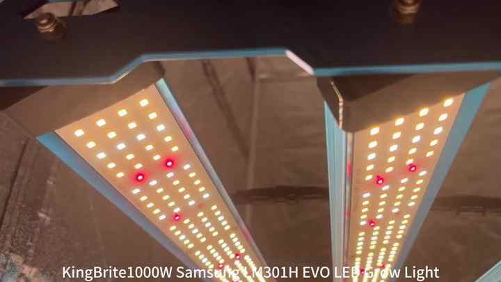 Kingbrite 1000W LM301H EVO LED Grow Lights for Indoor Plants