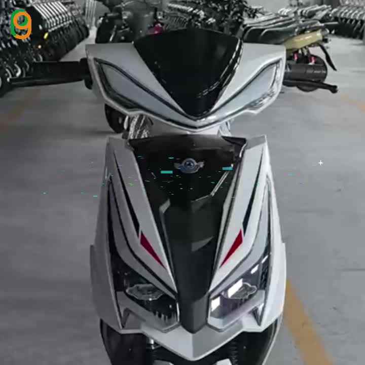 Paige Factory Direct Sale Electric Bike 1000w 72v for Adult 2