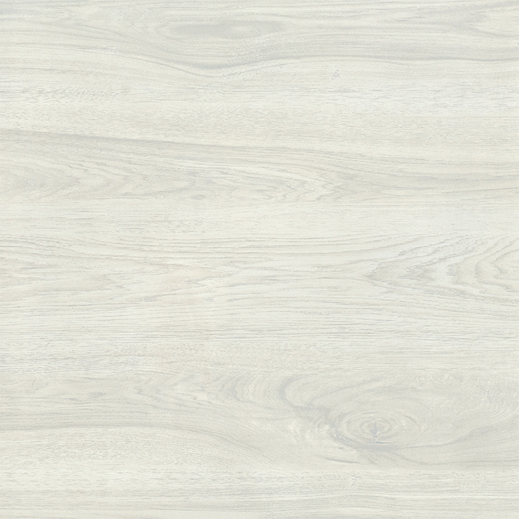 Hasin 600X600MM Wall And Floor Ceramic Tiles Heat-Insulation Non-Slip Rustic Tile Matt Surface Porcelain Tile