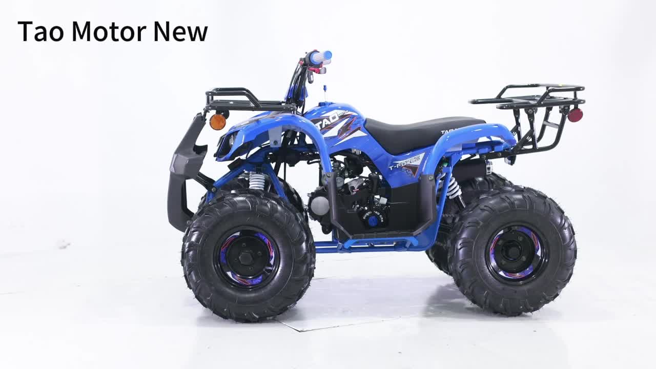 Tao Motor Automatic 12V 5AH Motor ATV 110 - All-Terrain Quad