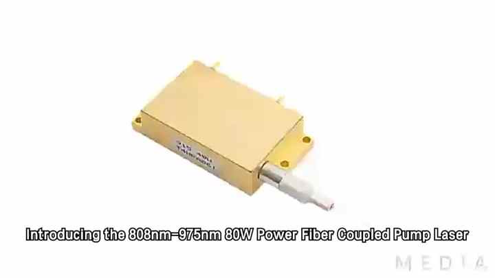 808nm 100W Uncooled Laser Diode Module with Red Aiming Beam