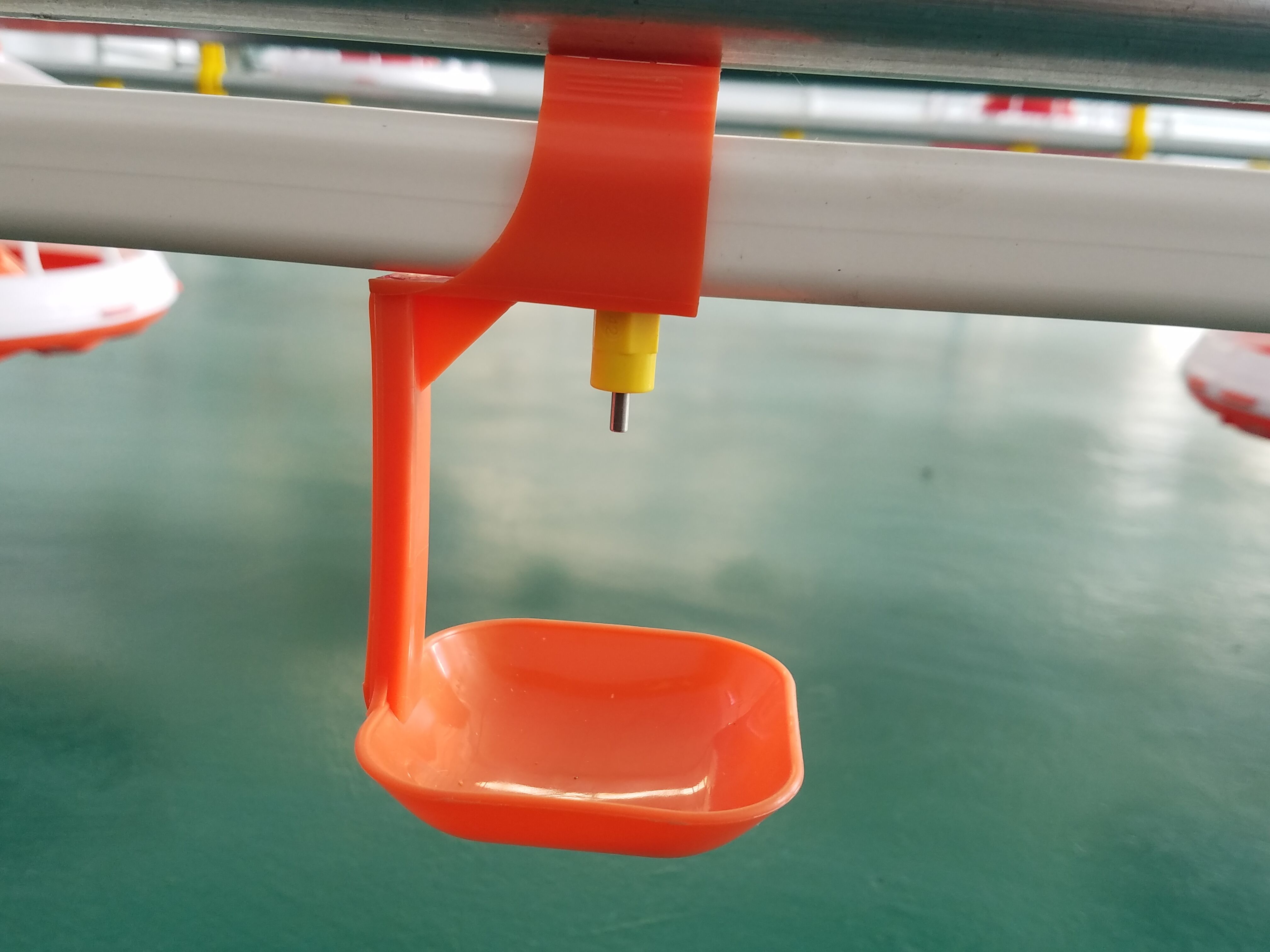 14/16 partitions Poultry Farm Equipment Plastic Chicken Feeders And Drinkers