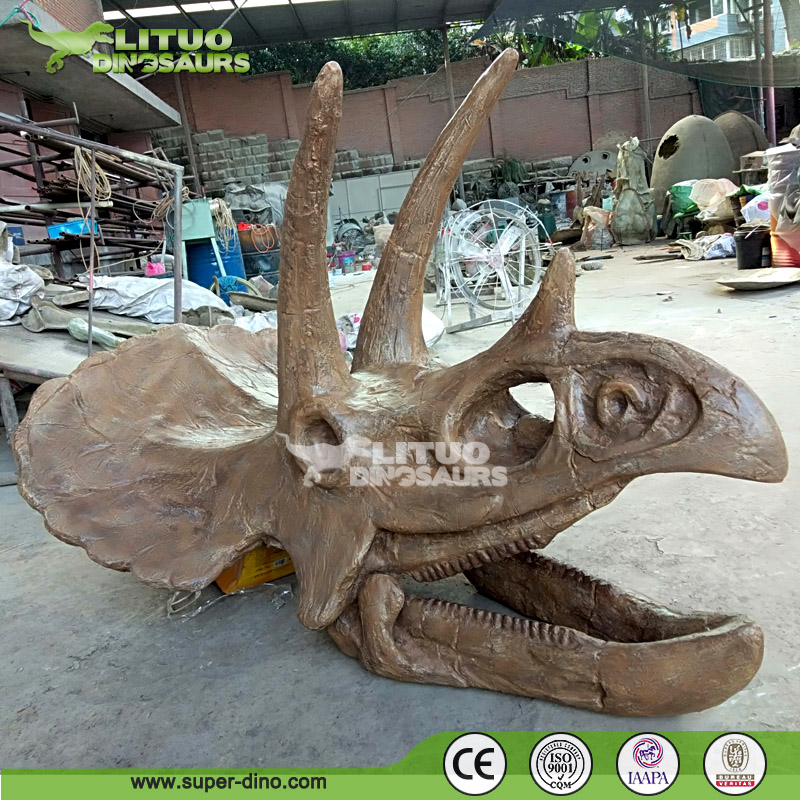 実物大のリアルなトリケラトプスの頭蓋骨（博物館用）| Alibaba.com