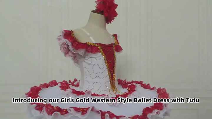 OEM Girls Dress Women Lycrial Sequin slip Dress Dance Tassel Skirt Feather  Skirt Kid Sequin Furry Skirt Dance Fringe Latin Dress