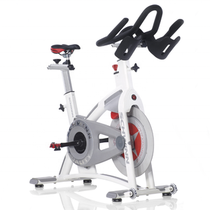 schwinn spin bike for sale