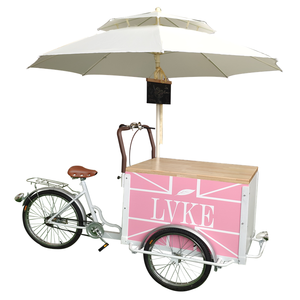 Ontdek De Fabrikant Bedekt Elektrische Fiets Van Hoge Kwaliteit Voor Bedekt Elektrische Fiets Bij Alibaba Com