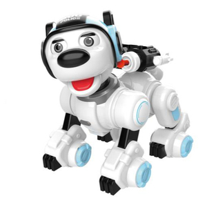 chip robot dog for sale