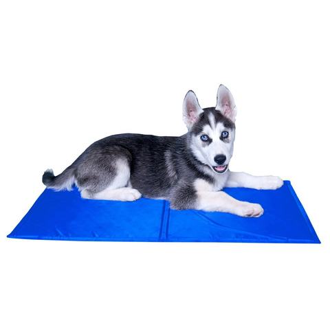 cooling bed for husky