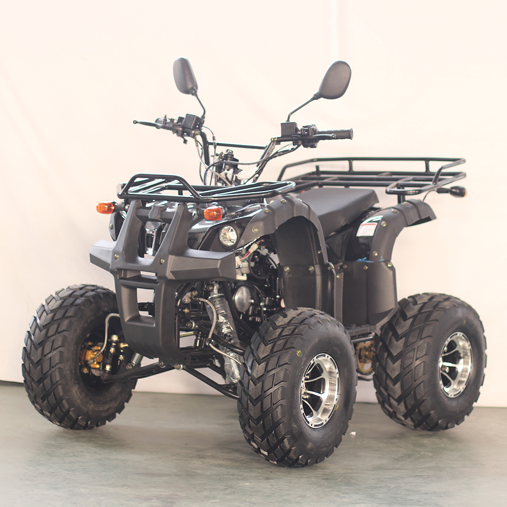 mini quad bike 100cc