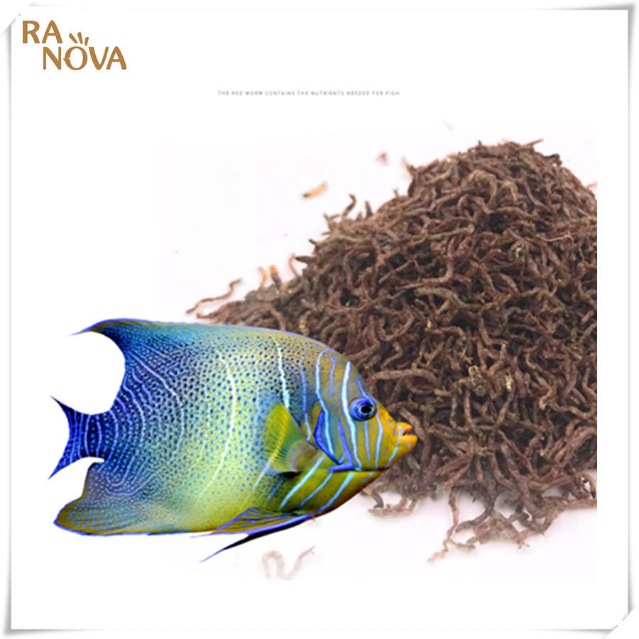 tetra fish food wholesale