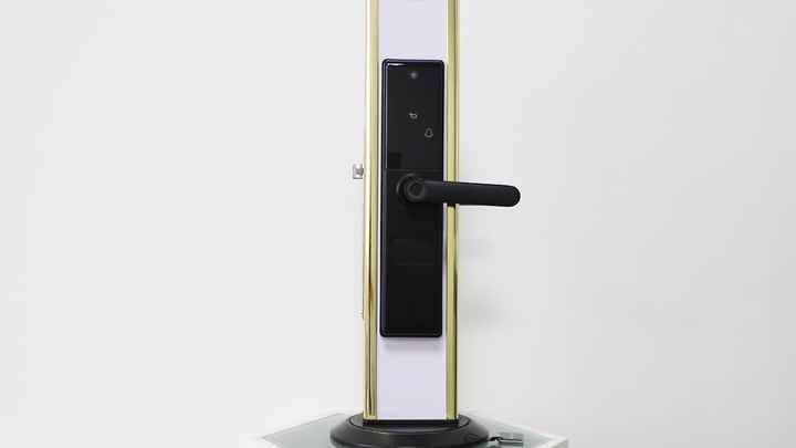 Biometric Fingerprint Tuya Viewer Lock WiFi APP Video Calling Smart ...