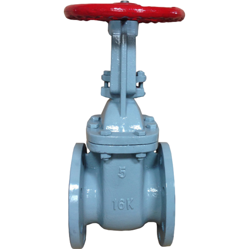 Quality-guaranteed sealed Ductile Iron Gate Valve Ring Stem JIS-16K