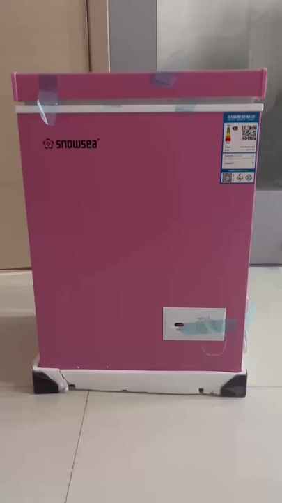 X Multi-Functional 60L Freezer - Efficient for Home & Hotels