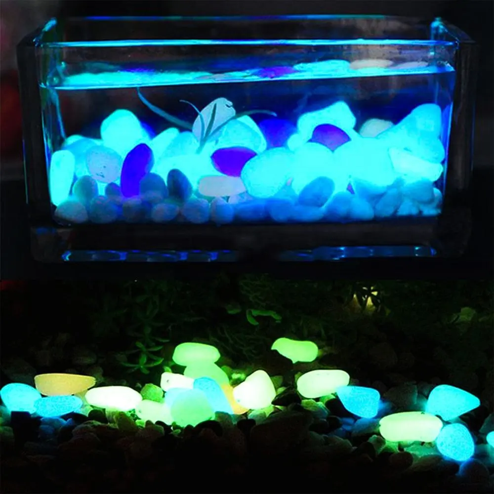 turtle tank decorations